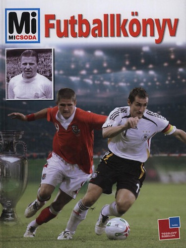 Christoph Bausenwein - Futballk�nyv (Mi Micsoda)