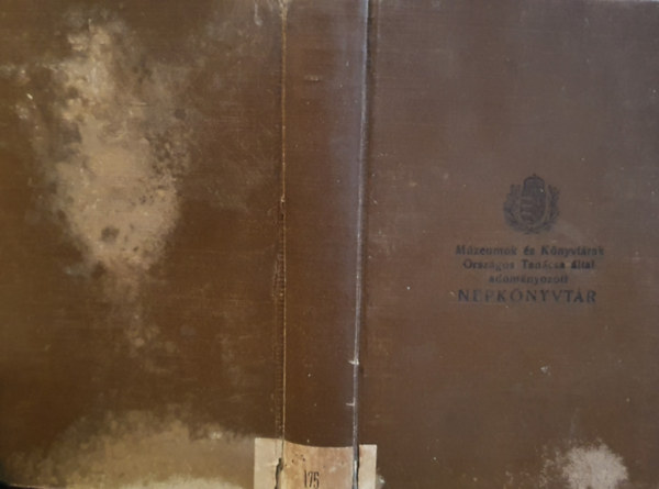 Riedl Frigyes - Arany J�nos