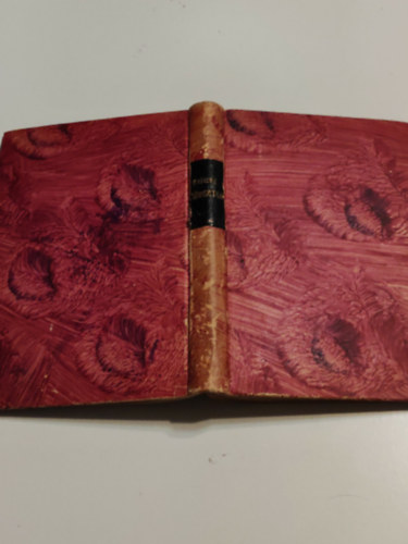 Pálffyné Gulácsy Irén - Förgeteg (Pályadíj nyertes regény) I.kiadás