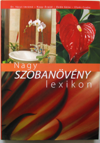 Dr. Vczi-Nagy-Dede-Illys - Nagy szobanvny lexikon