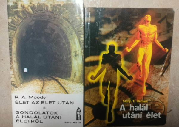 Raymond A. Moody, Mary T. Brown - �let az �let ut�n - Gondolatok a hal�l ut�ni �letr�l  A hal�l ut�ni �let