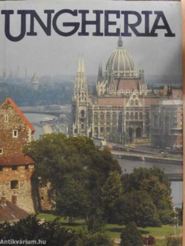 Gyula Fekete, Fekete Gyula - Ungheria