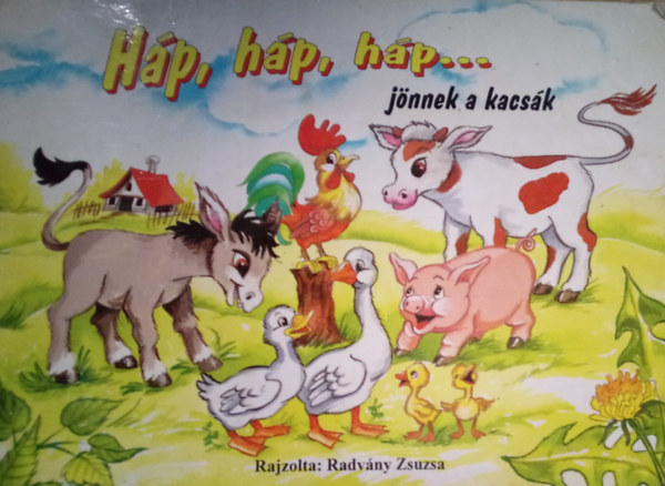 Radvny Zsuzsa (rajz) - Hp, hp, hp, jnnek a kacsk
