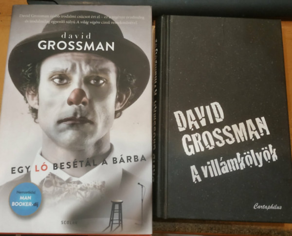 David Grossman - 2 db David Grossman: A vill�mk�ly�k + Egy l� bes�t�l a b�rba