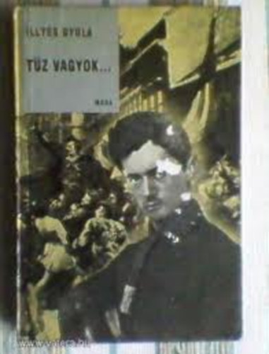Illyés Gyula - Tűz vagyok... (Petőfi Sándor élete)