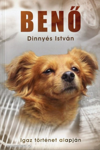 Dinnys Istvn - Ben - Igaz trtnet alapjn