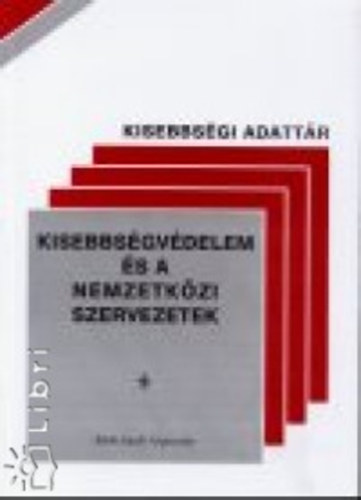 Kisebbsgvdelem s a nemzetkzi szervezetek