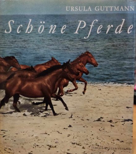 Ursula Guttmann - Schne Pferde (Gynyr lovak)