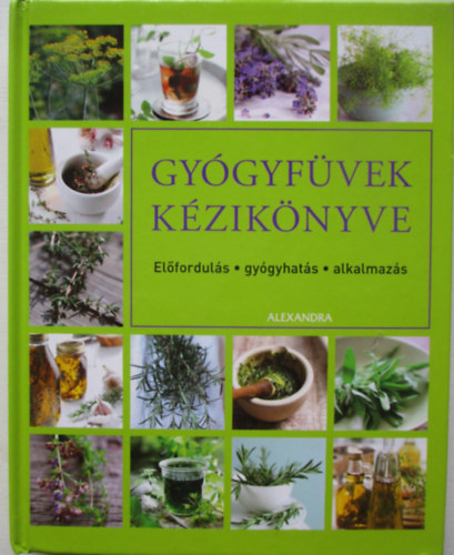 Hans W. Kothe - Gygyfvek kziknyve