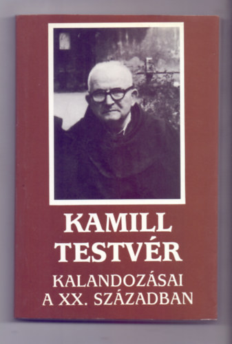 Sink Ferenc (szerk.) - Kamill testvr kalandozsai a XX. szzadban