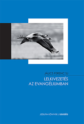 Jlics Ferenc SJ - Lelkivezets az evangliumban