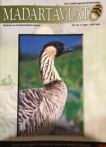 Pchy Tams (fszerk.) - Madrtvlat - XIV. vf. 2. szm (2007/nyr)