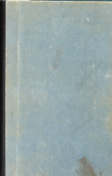 Julio Cortázar - Az összefüggő parkok