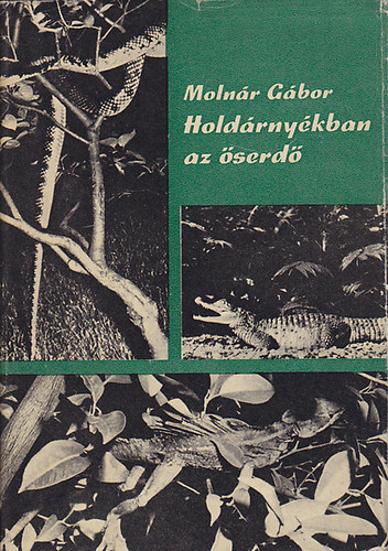 Molnr Gbor - Holdrnykban az serd