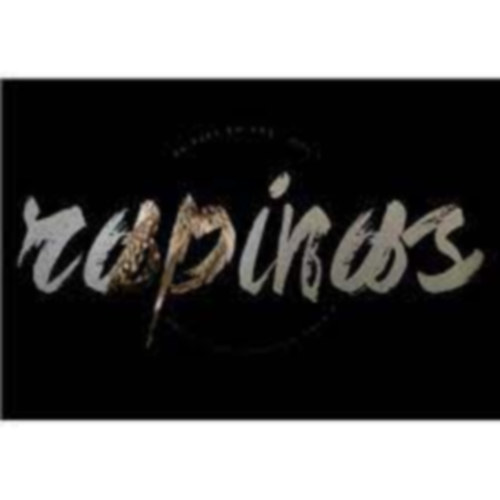 Jose Godinho - Rapinas - As aves em nos - vol.1 - A bird watcher collection