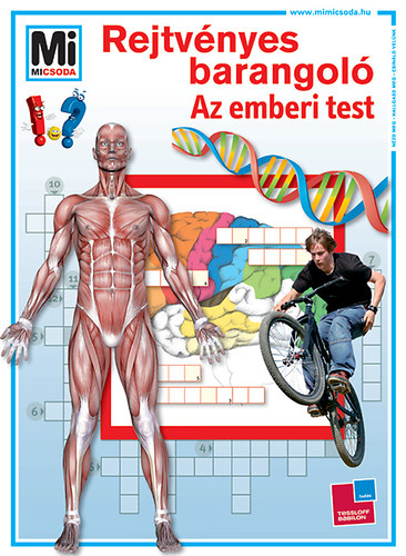 Rejtvnyes barangol - Az emberi test