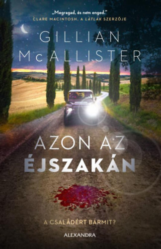Gillian McAllister - Azon az éjszakán