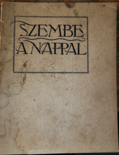 Sk Sndor - Szembe a nappal