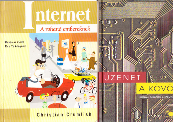 Daniel Hillis - zenet a kvn + Internet - A rohan embereknek