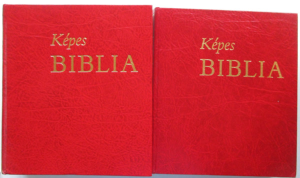 Zsdely Gyula (szerk.) - Kpes Biblia I-II. ktet