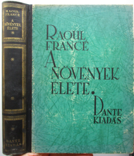 Raoul France - A nvnyek lete