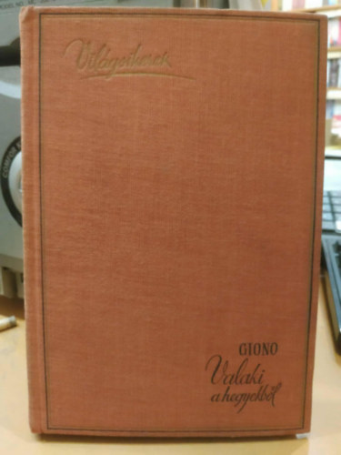 Jean Giono - Valaki a hegyekből