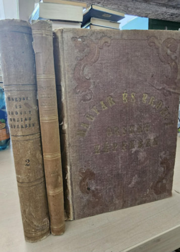 Hunfalvy J�nos - Rohbock Lajos - Magyarorsz�g �s Erd�ly eredeti k�pekben I-III.  - NEM REPRINT