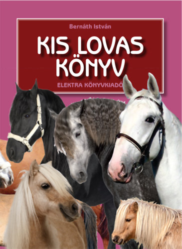 Bern�th Istv�n - Kis lovas k�nyv