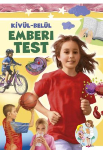 Kvl-bell emberi test