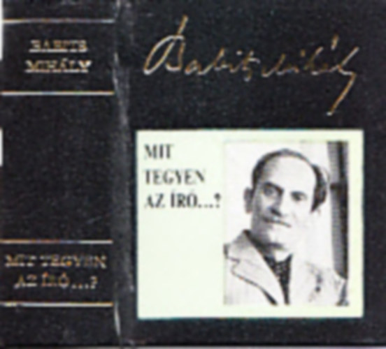 Babits Mihály - Mit tegyen az író a háboruval szemben? (minikönyv)