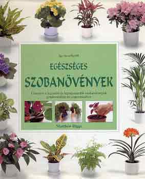 Matthew Biggs - �gy nevelhet�k eg�szs�ges szoban�v�nyek
