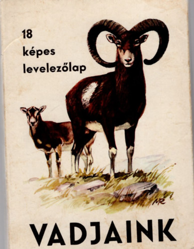 Vadjaink ( 18 kpes levelezlap )