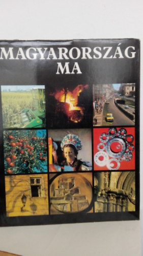 Nincs - Magyarorszg ma