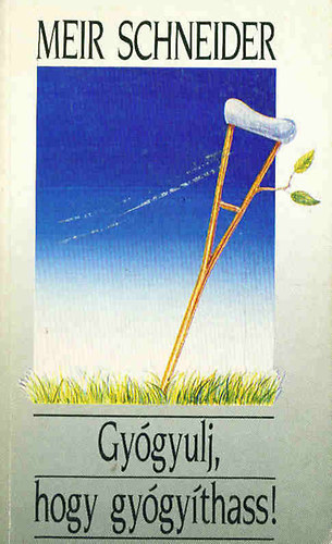 schneider meir - gyógyulj,hogy gyógyíthass!