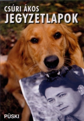 Csri kos - Jegyzetlapok