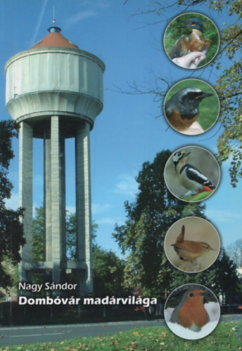 Nagy Sndor - Dombvr madrvilga