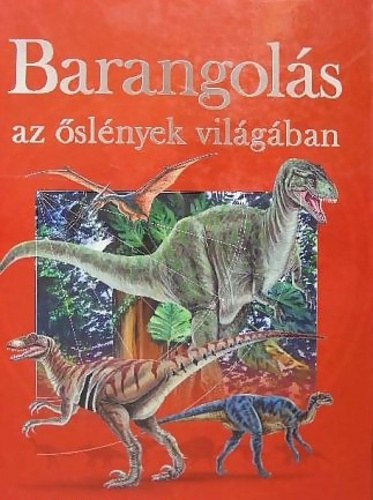 Varga Tams - Barangols az slnyek vilgban