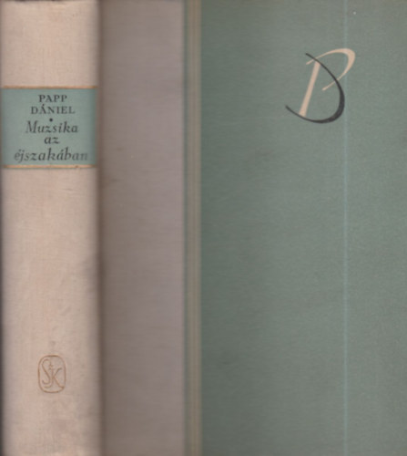 Papp Dániel - Muzsika az éjszakában (válogatott művek)