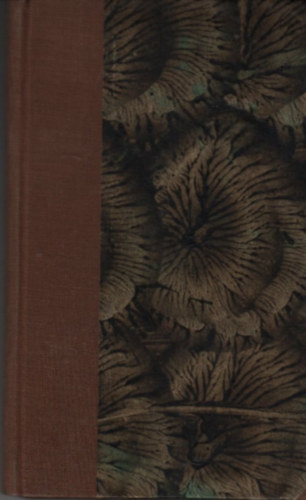 Kálnoki Izidor (Vulpes) - Újságíró-iskola