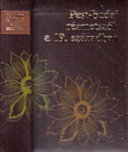 Pest-Budai rzmetszk a 19. szzadban (szmozott, miniknyv)