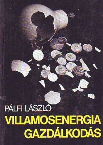Pálfi László - Villamosenergia gazdálkodás