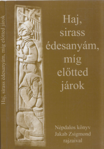 Jakab Zsigmondn Mszros Rozlia, Jakab Zsigmond (rajzolta) - Haj, sirass desanym, mg eltted jrok - DEDIKLT!