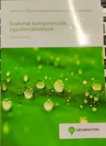 Sikn Bartos Edina, Tamars Irn, Tzsr Dorina, Vajda Norbert, Vrs Ildik - Szakmai kompetencik, egyttmkdsek