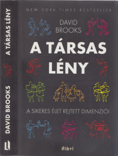 David Brooks - A trsas lny