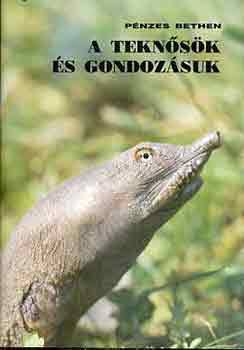 Pnzes Bethen - A teknsk s gondozsuk