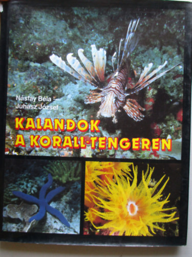 Nsfay Bla-Juhsz Jzsef - Kalandok a Korall-tengeren