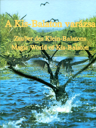 Nagygyrgy Sndor, Nagygyrgy Andrs - A Kis-Balaton varzsa