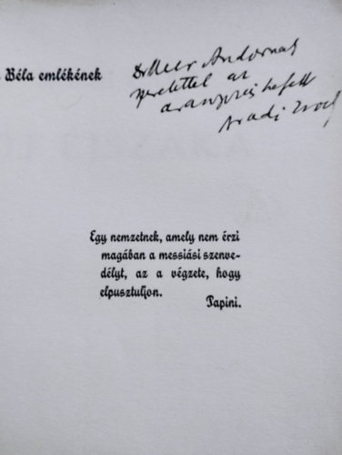 Aradi Zsolt - Öt Éjszaka