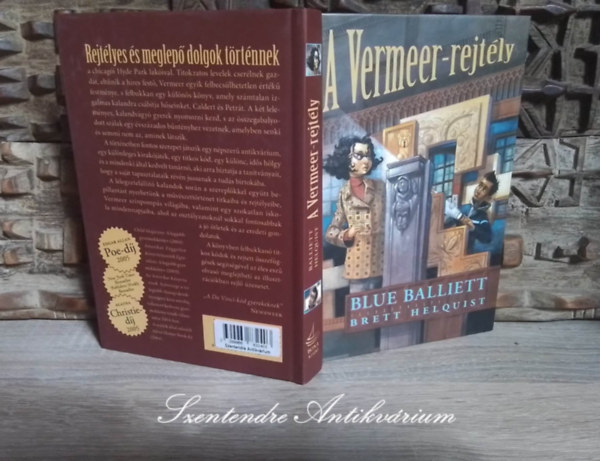 Blue Balliett, Németi Anita (ford.), Brett Helquist (ill.) - A Vermeer-rejtély (Chasing Vermeer) - Németi Anita fordításában, Brett Helquist illusztrációival; Saját képpel!