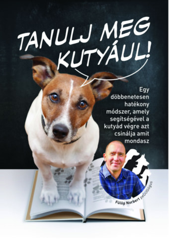 F�l�p Norbert - Tanulj meg kuty�ul!
